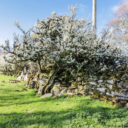 5 Ceirnioge Cottages Betws-y-Coed Εξωτερικό φωτογραφία